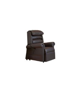 Fauteuil releveur confort luxe 2 moteurs
