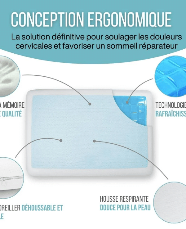 CONCEPTION ERGONOMIQUE