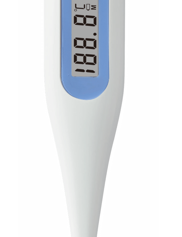 TEMPO DIGITAL SPENGLER